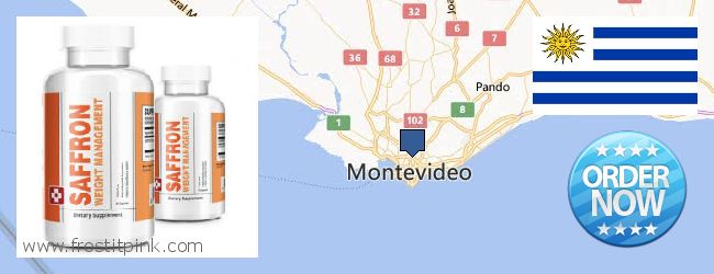 Dónde comprar Saffron Extract en linea Montevideo, Uruguay