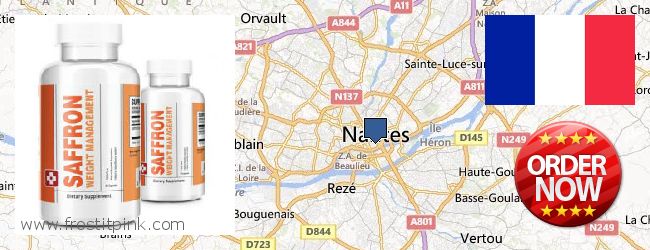 Où Acheter Saffron Extract en ligne Nantes, France