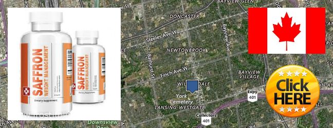 Où Acheter Saffron Extract en ligne North York, Canada
