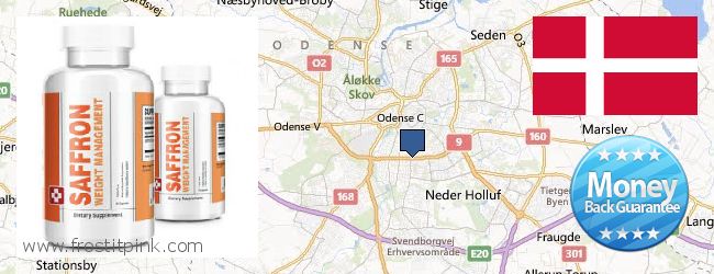 Wo kaufen Saffron Extract online Odense, Denmark