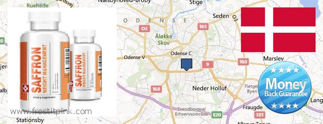 Where Can I Purchase Saffron Extract online Odense, Denmark