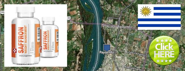 Best Place to Buy Saffron Extract online Paysandu, Uruguay