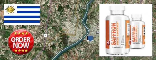 Dónde comprar Saffron Extract en linea Salto, Uruguay
