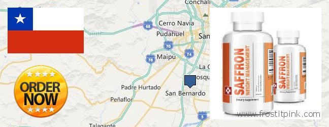 Dónde comprar Saffron Extract en linea San Bernardo, Chile