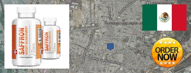 Dónde comprar Saffron Extract en linea San Nicolas de los Garza, Mexico