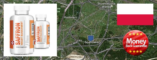 Wo kaufen Saffron Extract online Sosnowiec, Poland