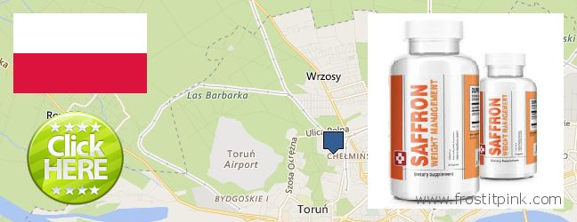 Де купити Saffron Extract онлайн Torun, Poland