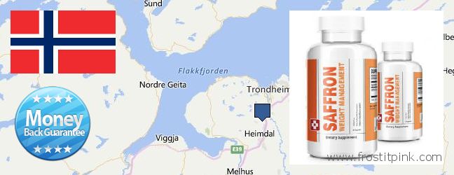 Best Place to Buy Saffron Extract online Trondheim, Norway