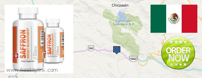 Dónde comprar Saffron Extract en linea Tuxtla Gutierrez, Mexico