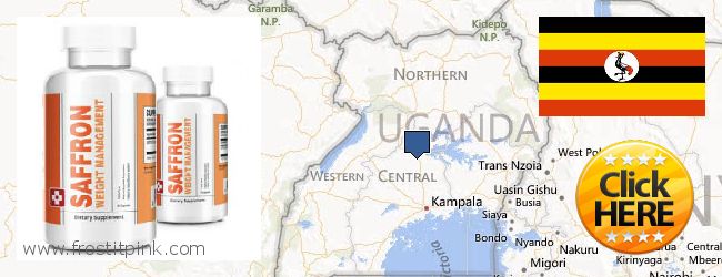 Where to Buy Saffron Extract online Uganda