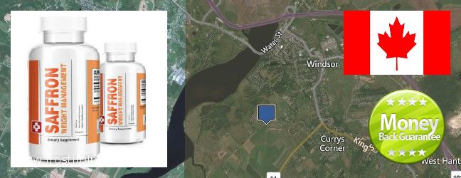 Où Acheter Saffron Extract en ligne Windsor, Canada