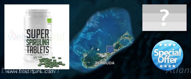 Kde koupit Spirulina Powder on-line Bermuda