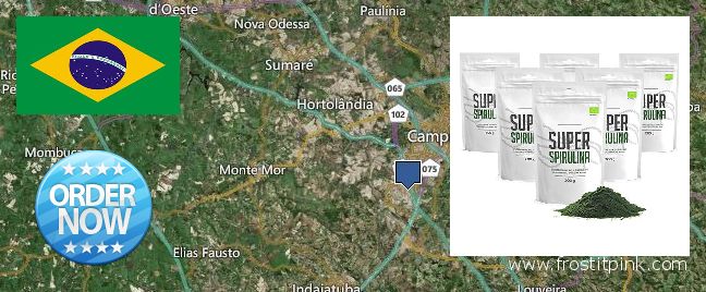 Wo kaufen Spirulina Powder online Campinas, Brazil