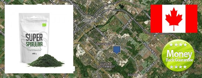 Buy Spirulina Powder online Guelph, Canada