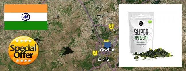 Where to Buy Spirulina Powder online Gwalior, India