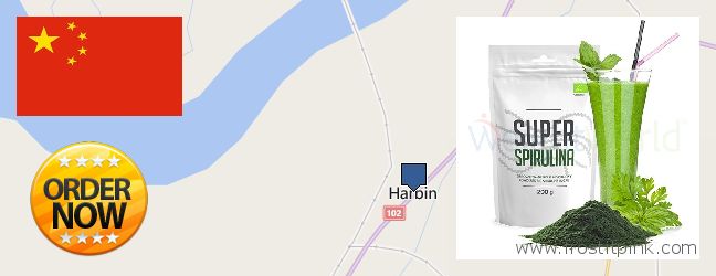 Buy Spirulina Powder online Harbin, China Where to Buy Spirulina Powder online Harbin, China