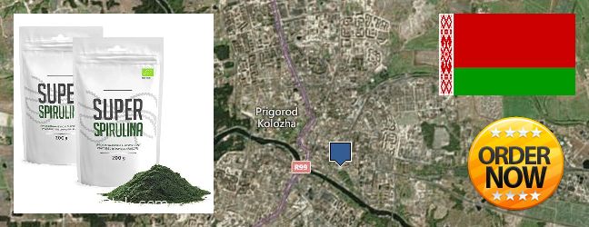 Purchase Spirulina Powder online Hrodna, Belarus Buy Spirulina Powder online Hrodna, Belarus