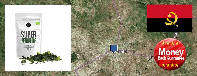 Purchase Spirulina Powder online Huambo, Angola Where Can You Buy Spirulina Powder online Huambo, Angola