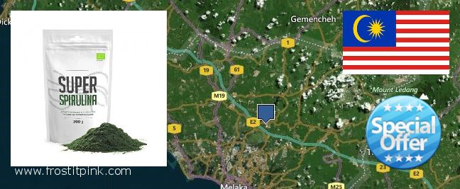 Where Can I Buy Spirulina Powder online Malacca, Malaysia