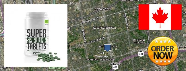 Buy Spirulina Powder online North York, Canada