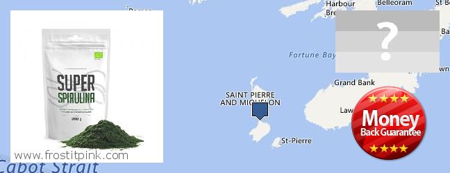 Dove acquistare Spirulina Powder in linea Saint Pierre and Miquelon