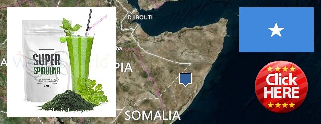 Kde koupit Spirulina Powder on-line Somalia