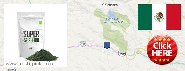 Where Can You Buy Spirulina Powder online Tuxtla Gutierrez, Mexico