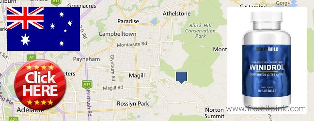 Πού να αγοράσετε Winstrol Steroids σε απευθείας σύνδεση Adelaide Hills, Australia