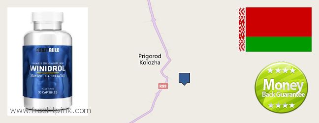 Где купить Winstrol Steroids онлайн Hrodna, Belarus