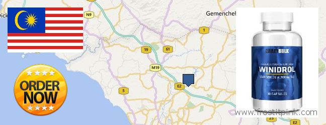 Where Can You Buy Winstrol Steroid online Malacca, Malaysia