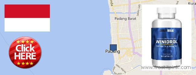 Where to Purchase Winstrol Steroid online Padang, Indonesia