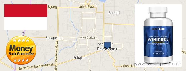 Where to Buy Winstrol Steroid online Pekanbaru, Indonesia