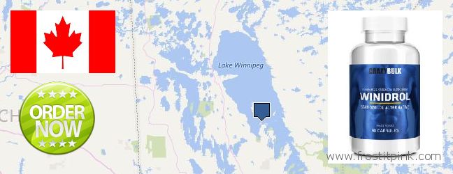 Buy Winstrol Steroid online Winnipeg, Canada