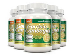 Buy Garcinia Cambogia Extract in Madagascar