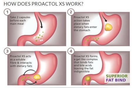 Where to Buy Proactol Plus in Malaysia