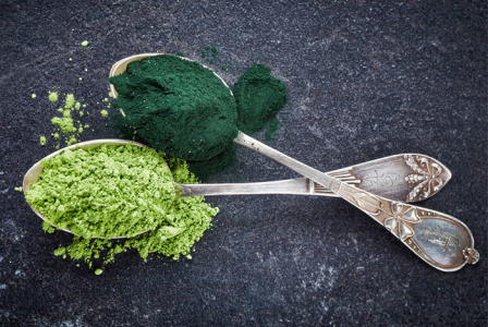 Best Place to Buy Spirulina Powder in Chad