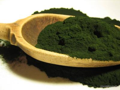 Where to Buy Spirulina Powder in Pakistan