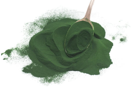 Where to Purchase Spirulina Powder in Bangladesh